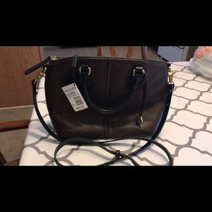 Brahmin Purse